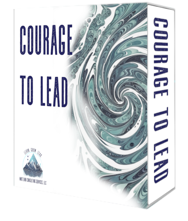 Courage to Lead Course